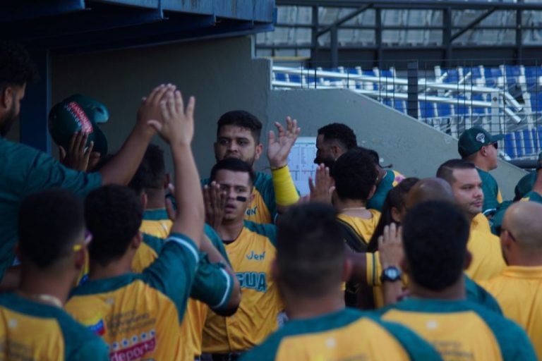 Samanes de Aragua