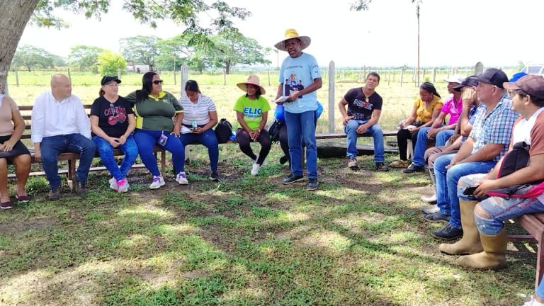 WhatsApp Image 2025-07-25 at 2.11.58 PM