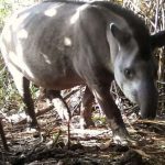 foto-2-lista-1024x512