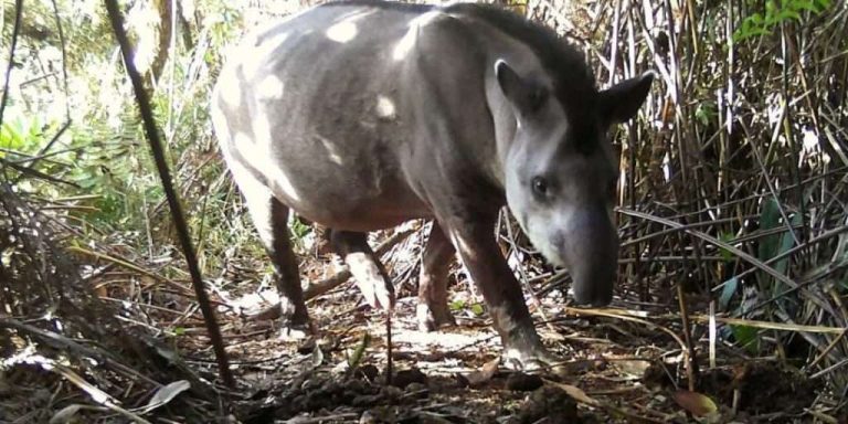 foto-2-lista-1024x512