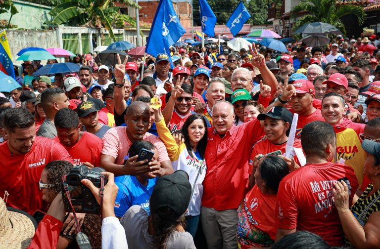 foto-cortesia-mediante-una-marcha-el-psuv-inicio-la-campana-electoral-81613