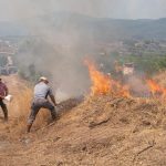 incendios-forestales-en-turquia-44007