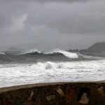 rss-efe5e90f419867a8c35c3bf2cb563bb2c3293924ccew