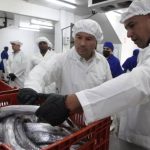 tajali-china-miranda