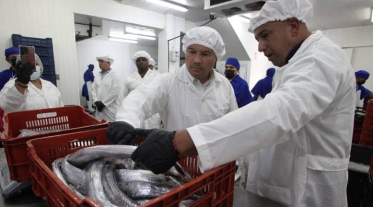 tajali-china-miranda