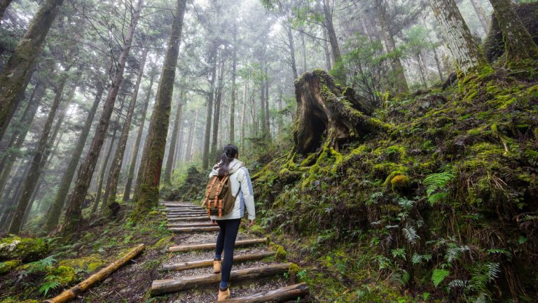 68935bb4e9ff71131a60159b