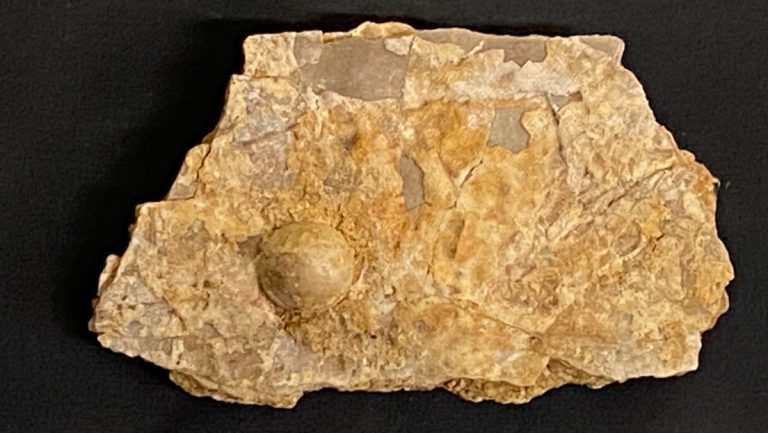 68a8a0de59bf5b048f4f42e8