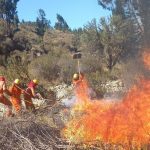 Gobierno-de-Bolivia-declara-emergencia-nacional-a-causa-de-tres-incendios-forestales
