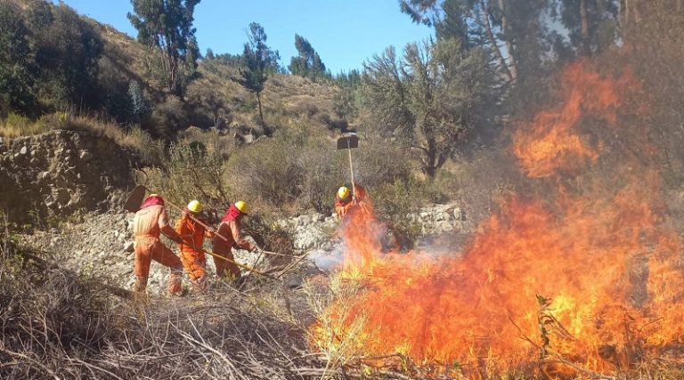 Gobierno-de-Bolivia-declara-emergencia-nacional-a-causa-de-tres-incendios-forestales