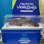 IMG_20250817_134320