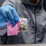 Incautadas más de 3 mil kilogramos de drogas durante este 2025 por el Cicpc (4)