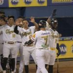 Tigres de Aragua