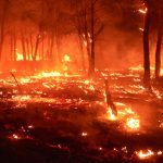 incendios-en-espanajpeg-46239