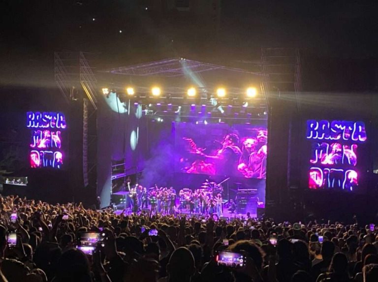 molotov-despedida-1024x764