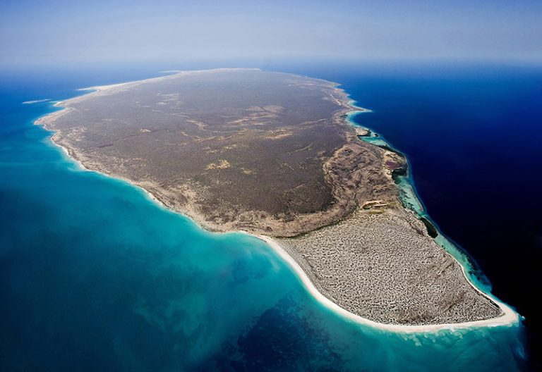 Isla la Tortuga