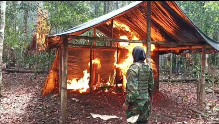 5039596153204748372_120