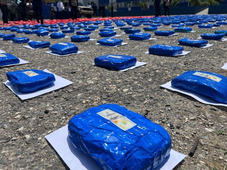 CPNB incauta más de 500 kilogramos de marihuana en el estado Lara (1)