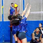Voleibol