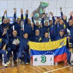 Voleibol Sentado