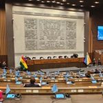 bolivia-ley-ninos-768x432.jpg (1)