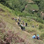 photo_5039987759732862744_y