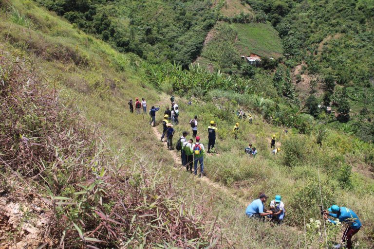 photo_5039987759732862744_y