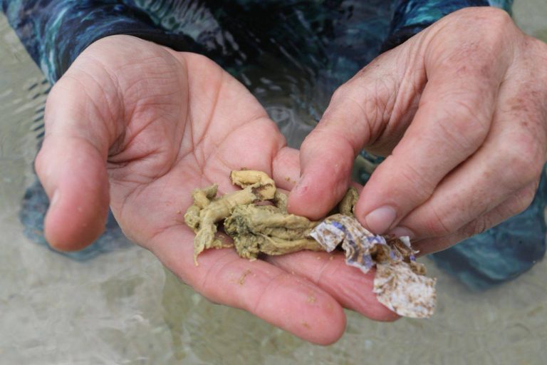 photo_5067028302597828244_y