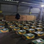 rusia-cargamento-cocaina-768x432