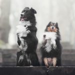 68dfc67359bf5b24e46c37a6