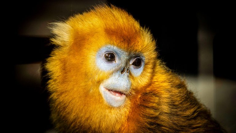 68fcd90ae9ff716b3e573041