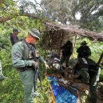 IMG_20251003_120326_472