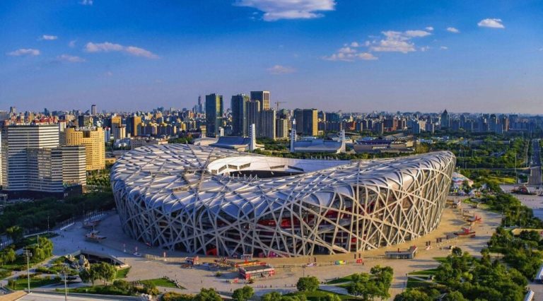 Nido de Pájaro