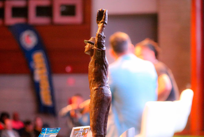 Premio Luis Aparicio