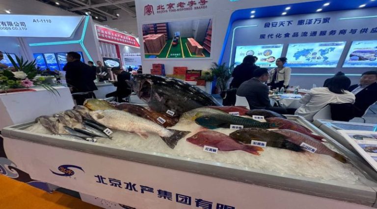 WhatsApp-Image-2024-10-30-at-7.35.28-PM