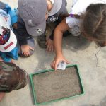 environmental-education-1578203_1280