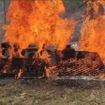 fanb-destruye-mineria-ilegal-en-amazonasjpeg-49144