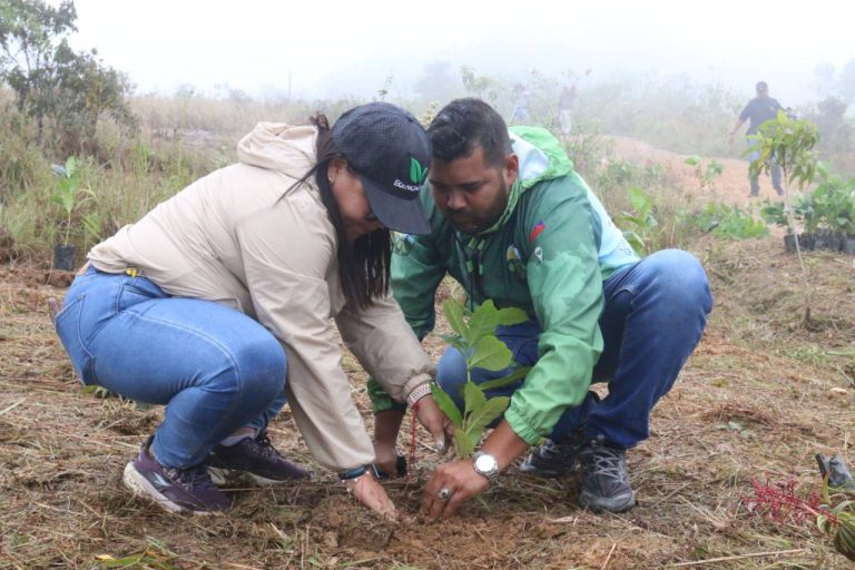 photo_5179505344235899663_y