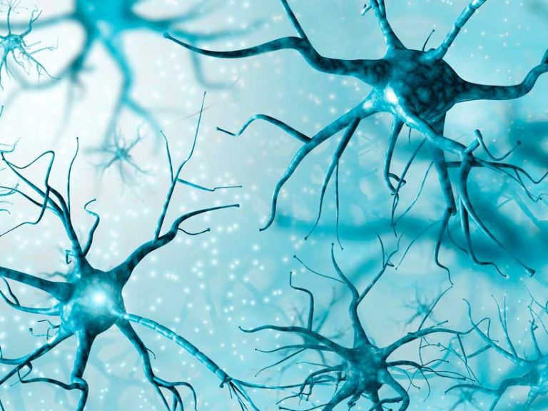 reelina-la-proteina-que-podria-contrarrestar-los-efectos-del-alzheimernota