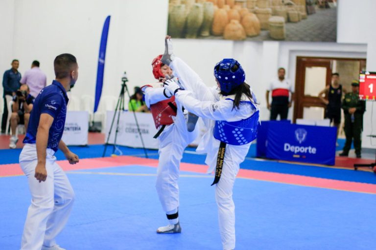 Taekwondo