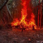 WhatsApp Image 2025-11-18 at 2.30.12 PM