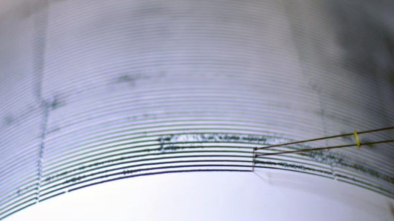 cortesia-sismografo-39801