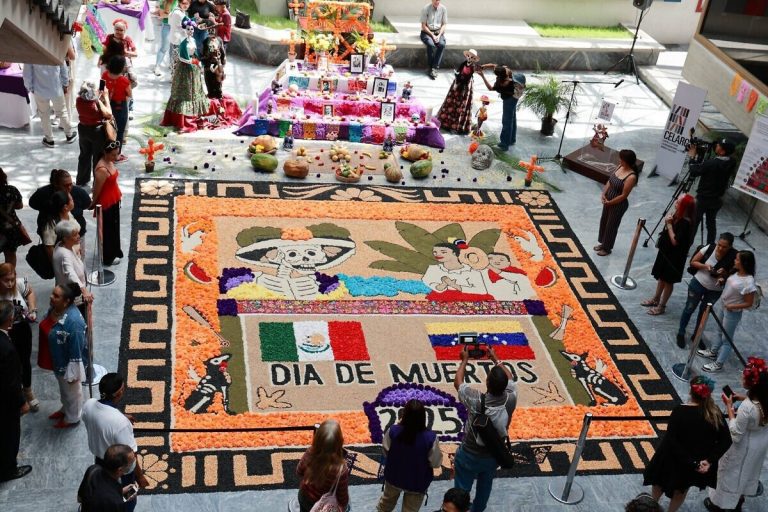 photo_4915697015417671045_w-1200x800