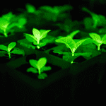 20251213cdd8896816f64992b06c2f5da2da8617_202512139a40b32a953846c1acfd6959c90b0abd