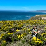 Estudio-de-flores-desde-el-aire-1