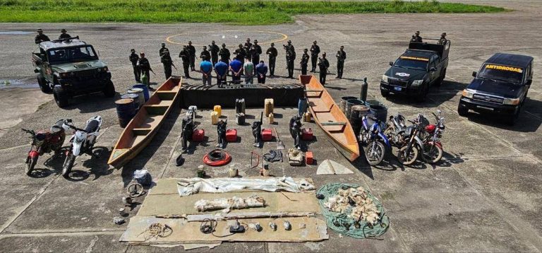 IMG_20251209_161051_596