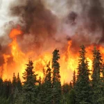 Incendios Forestales