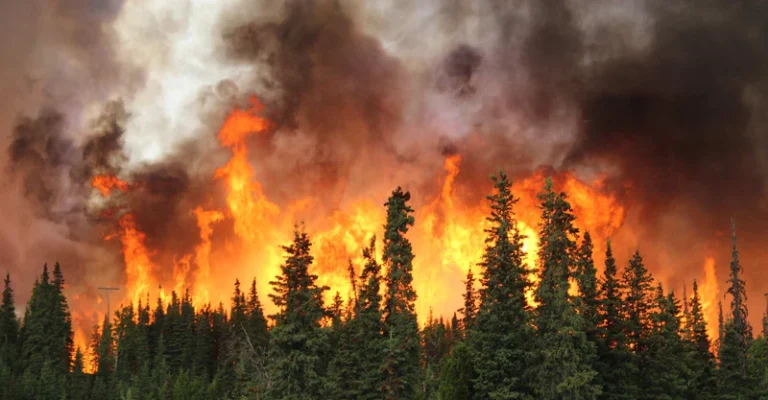 Incendios Forestales