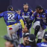 Tigres