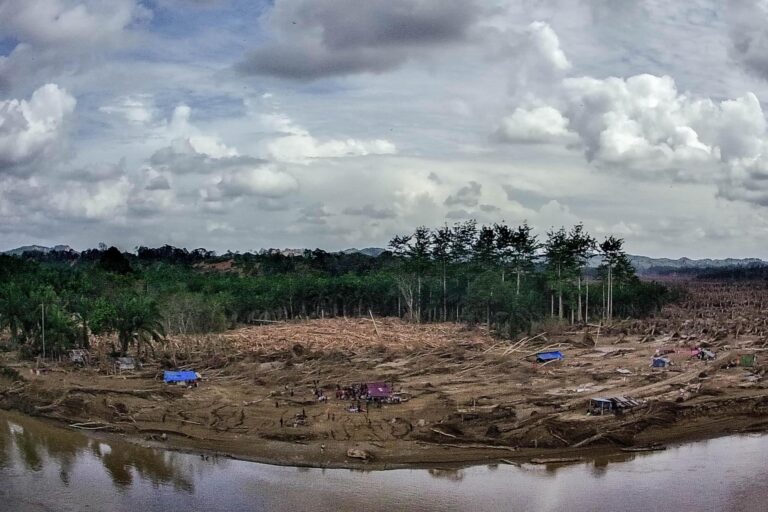 cceebb119e411c573921c414ae4f3d422ea04c9dw-768x512 - copia