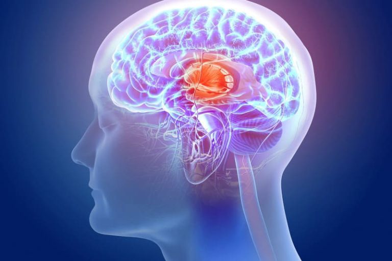 el-cerebro